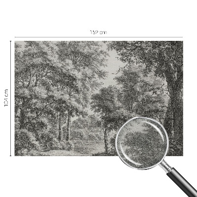 3D-Fototapete Waldlandschaft