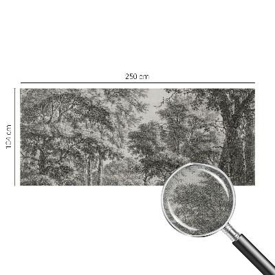 3D-Fototapete Waldlandschaft