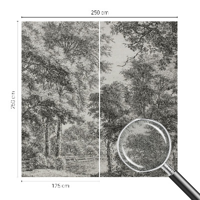 3D-Fototapete Waldlandschaft