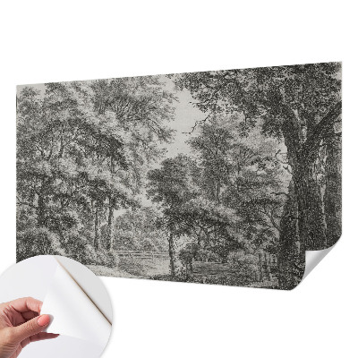 3D-Fototapete Waldlandschaft