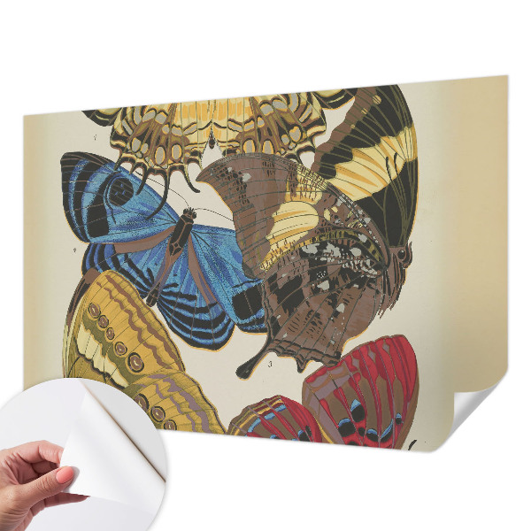 Selbstklebende Fototapete fürs Kinderzimmer Schmetterlinge Inspiration