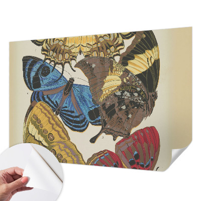 Selbstklebende Fototapete fürs Kinderzimmer Schmetterlinge Inspiration