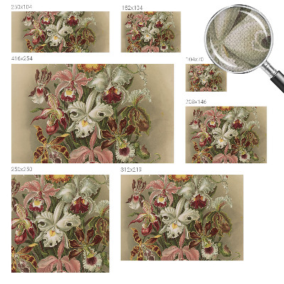 3D-Fototapete Florale Eleganz