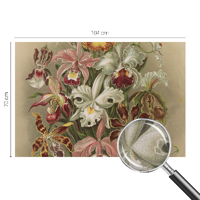 3D-Fototapete Florale Eleganz