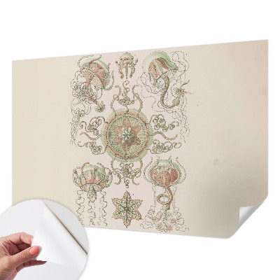 3D-Fototapete fürs Wohnzimmer Unterwasserwelt