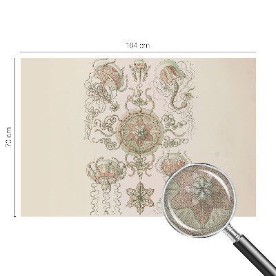 3D-Fototapete fürs Wohnzimmer Unterwasserwelt