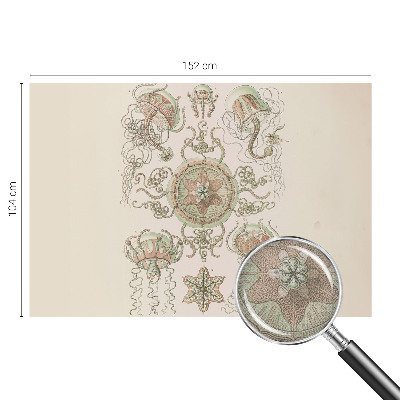 3D-Fototapete fürs Wohnzimmer Unterwasserwelt