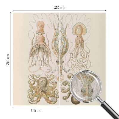 3D-Fototapete fürs Schlafzimmer Meeresleben