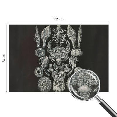 Fototapete nach Maß Unterwasserformen