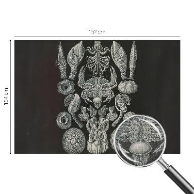 Fototapete nach Maß Unterwasserformen