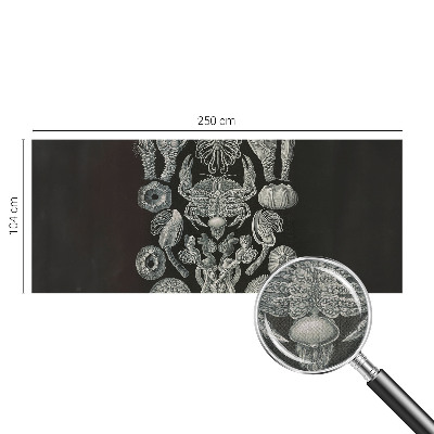 Fototapete nach Maß Unterwasserformen