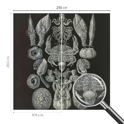 Fototapete nach Maß Unterwasserformen