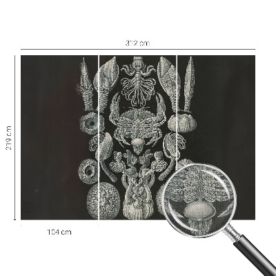 Fototapete nach Maß Unterwasserformen