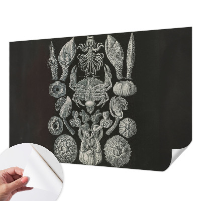 Fototapete nach Maß Unterwasserformen