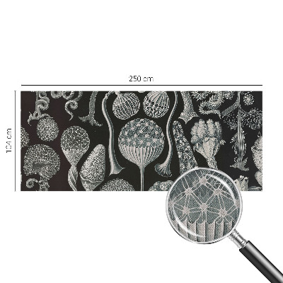 Moderne Fototapete nach Maß Magische Pflanzen