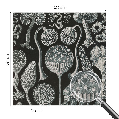 Moderne Fototapete nach Maß Magische Pflanzen