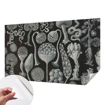 Moderne Fototapete nach Maß Magische Pflanzen