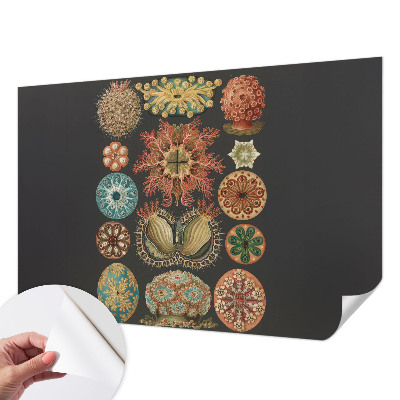 3D-Fototapete fürs Wohnzimmer Inspirationen aus dem Meer