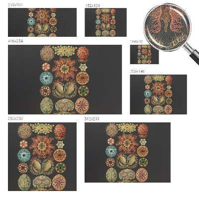 3D-Fototapete fürs Wohnzimmer Inspirationen aus dem Meer