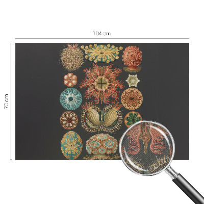 3D-Fototapete fürs Wohnzimmer Inspirationen aus dem Meer