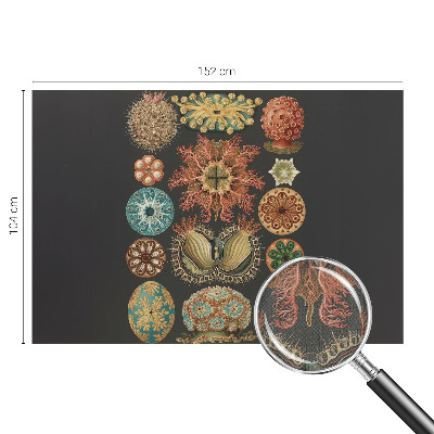 3D-Fototapete fürs Wohnzimmer Inspirationen aus dem Meer