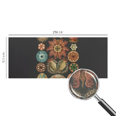 3D-Fototapete fürs Wohnzimmer Inspirationen aus dem Meer