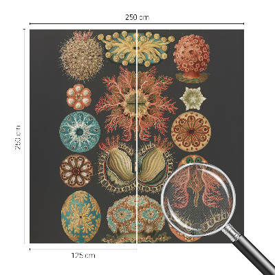 3D-Fototapete fürs Wohnzimmer Inspirationen aus dem Meer