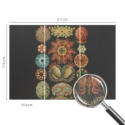 3D-Fototapete fürs Wohnzimmer Inspirationen aus dem Meer