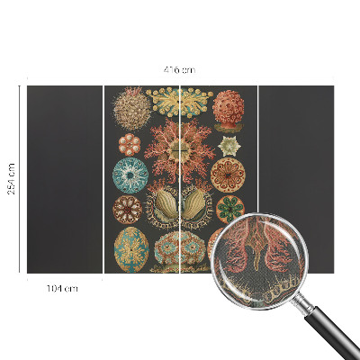 3D-Fototapete fürs Wohnzimmer Inspirationen aus dem Meer