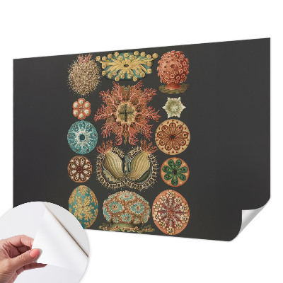 3D-Fototapete fürs Wohnzimmer Inspirationen aus dem Meer