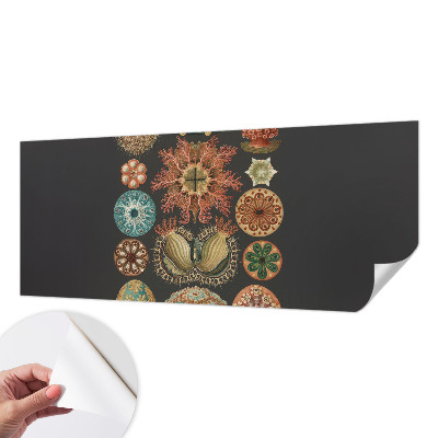 3D-Fototapete fürs Wohnzimmer Inspirationen aus dem Meer