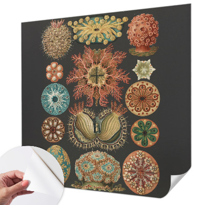 3D-Fototapete fürs Wohnzimmer Inspirationen aus dem Meer