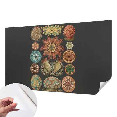 3D-Fototapete fürs Wohnzimmer Inspirationen aus dem Meer