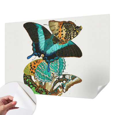 Vintage tapete Bunte Schmetterlinge