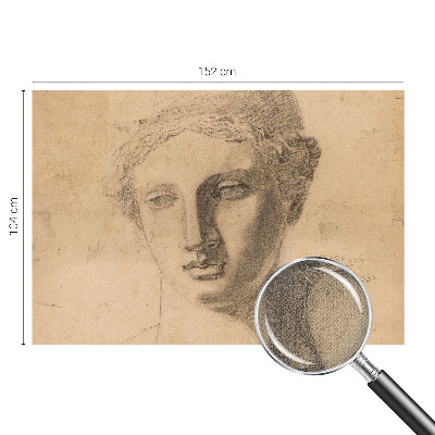 Selbstklebende Fototapete für die Wand Frauenporträt