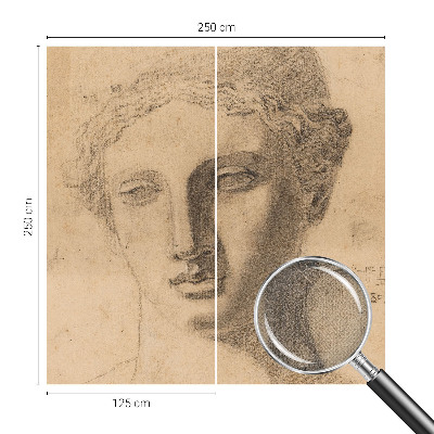 Selbstklebende Fototapete für die Wand Frauenporträt