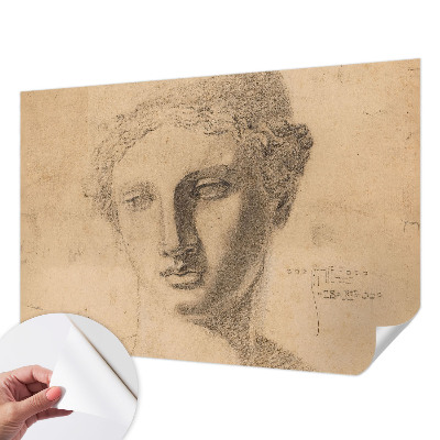 Selbstklebende Fototapete für die Wand Frauenporträt