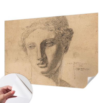 Selbstklebende Fototapete für die Wand Frauenporträt