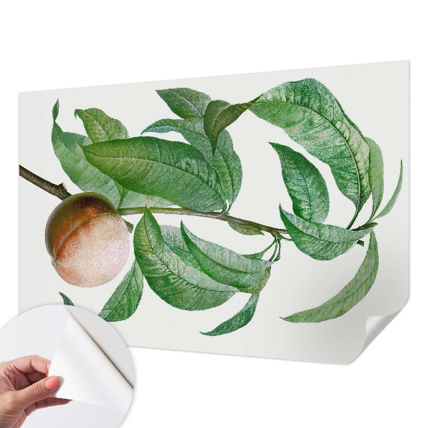 Hochwertige Bildtapete Reifer Pfirsich