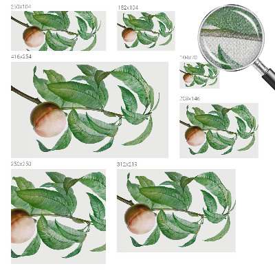 Hochwertige Bildtapete Reifer Pfirsich