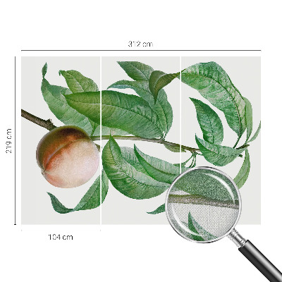 Hochwertige Bildtapete Reifer Pfirsich