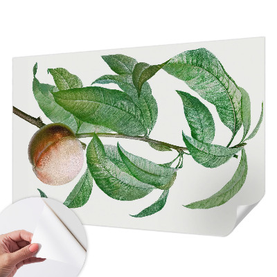 Hochwertige Bildtapete Reifer Pfirsich