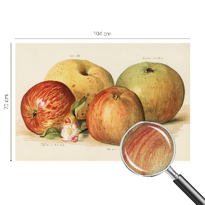 Vintage tapete Apfelblüten