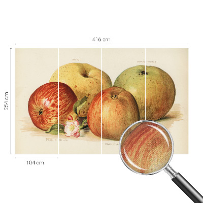 Vintage tapete Apfelblüten