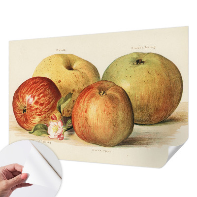 Vintage tapete Apfelblüten