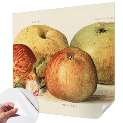 Vintage tapete Apfelblüten