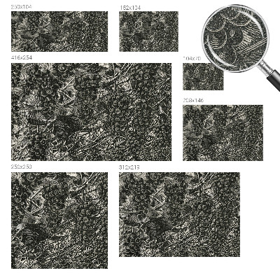 Hochwertige Bildtapete Traubenabdruck