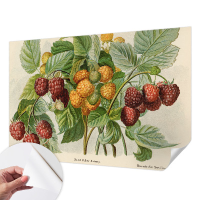 Selbstklebende Fototapete Klassische Himbeeren