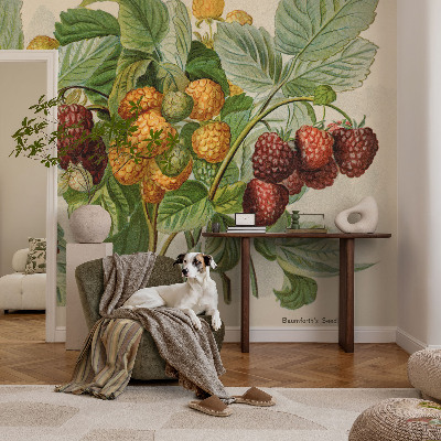 Selbstklebende Fototapete Klassische Himbeeren