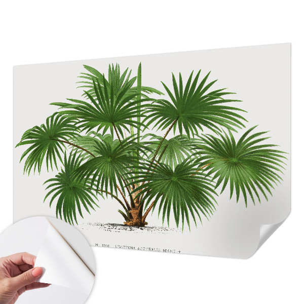 Hochwertige Bildtapete Exotisches Muster